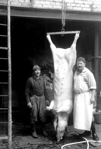 Hausschlachtung bei Corrells