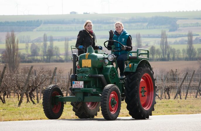 Bulldogtreffen an Ostern