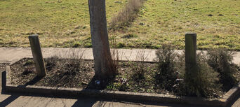 Pflanzbeete der Ortsgemeinde