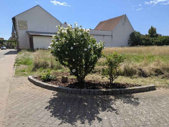 Erste Resultate der Ortsverschönerung