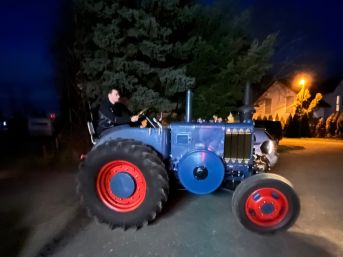 Ein blauer Bulldog in der Nacht