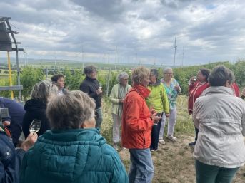 Weinprobe im Weinberg
