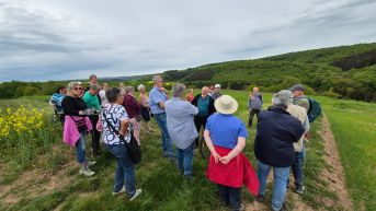 Die Ausflugsgesellschaft hört einen Vortrag auf einem Feld